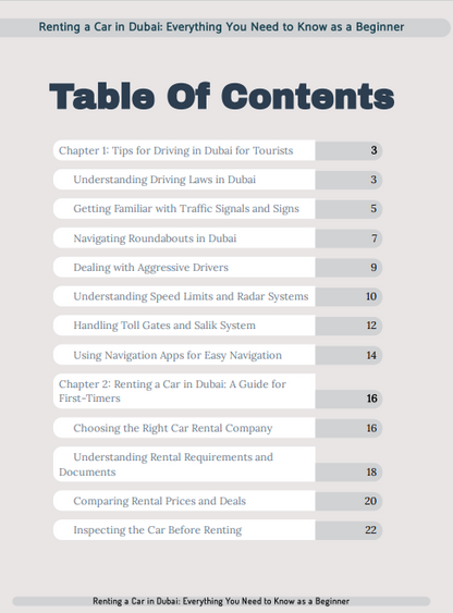 Renting a Car in Dubai: Everything You Need to Know as a Beginner
